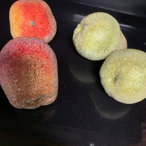 VTG 4 PCs BEADED/JEWELED ARTIFICIAL FRUIT - Picture 3 of 3